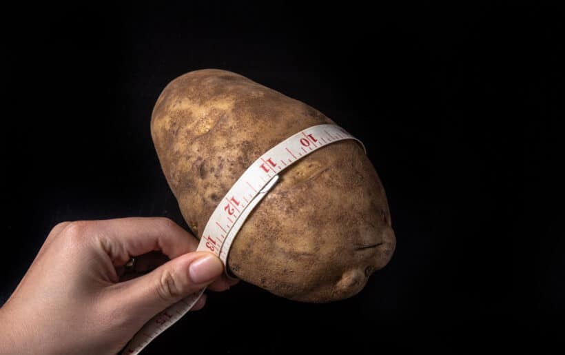 large russet potato