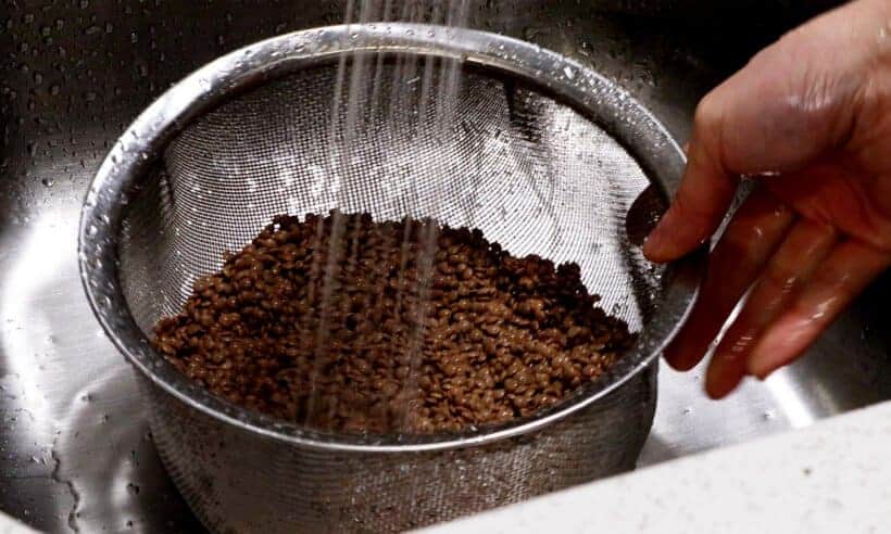 rinse brown lentils  #AmyJacky #InstantPot #PressureCooker #recipe