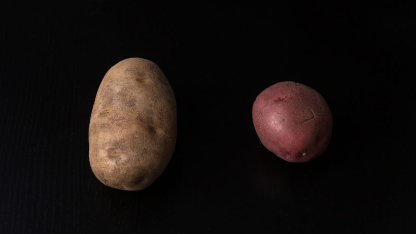 best potatoes for potato salad: russet potatoes vs red potatoes